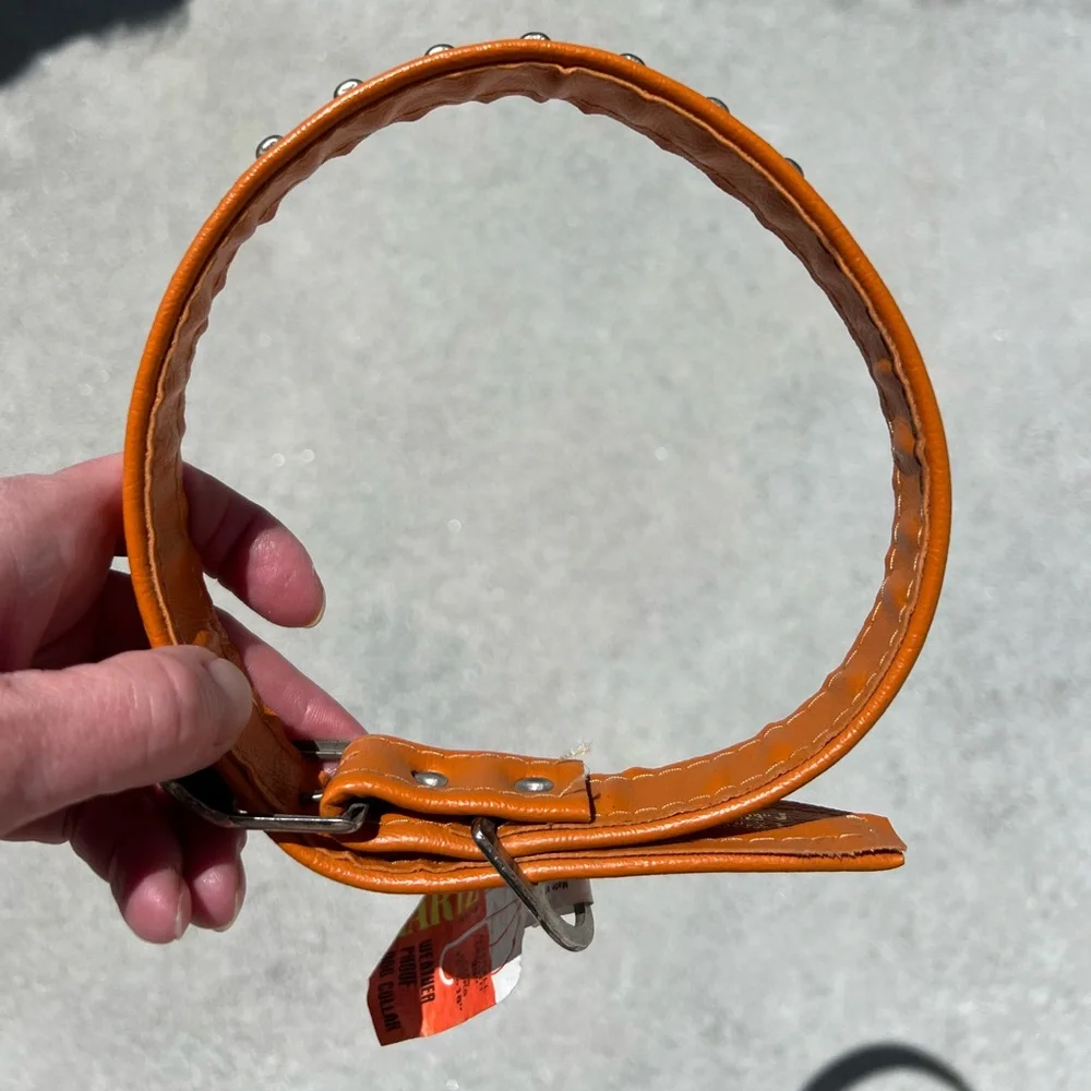 NWT Vintage Hartz orange dog collar with studs. Weather proof and length is 23”